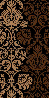 Ковровая дорожка SUNRISE V826 BLACK-BROWN