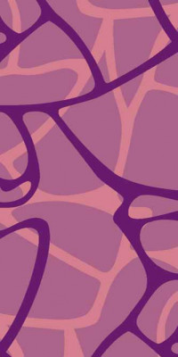 Ковровая дорожка SUNRISE V808 LILAC