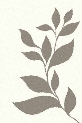 Прямоугольный ковер PLATINUM T647 NATURAL-GRAY