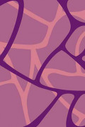 Прямоугольный ковер SUNRISE V808 LILAC
